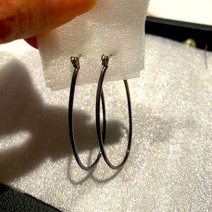 Oval Hoop Earrings